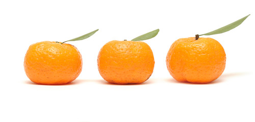 Mandarin with leaves on white