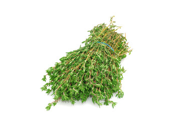 thyme