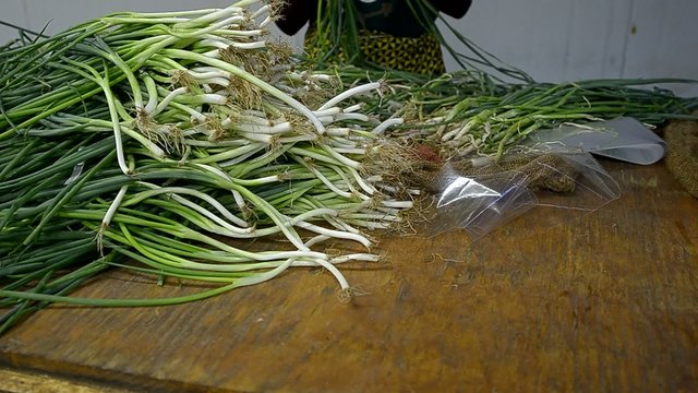industria agricola