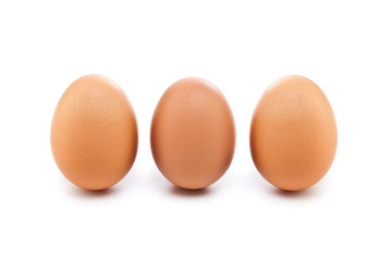 eggs isolated