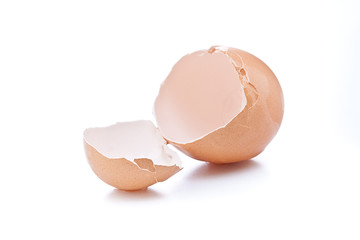 broken eggshell