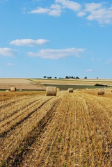 Strohballen im Sommer