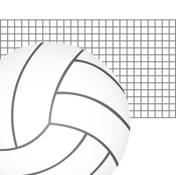 volleyball vector