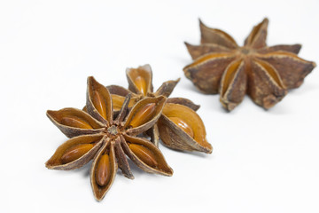 Sternanis auf weißem Hintergrund © Harald Biebel