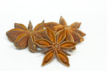 Sternanis auf weißem Hintergrund © Harald Biebel