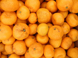 Tangerines at Farmers Market