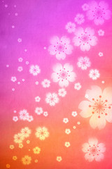 Cherry blossoms background
