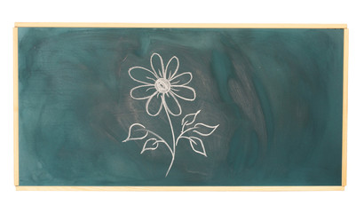 Blackboard with drawing flower isolated on white