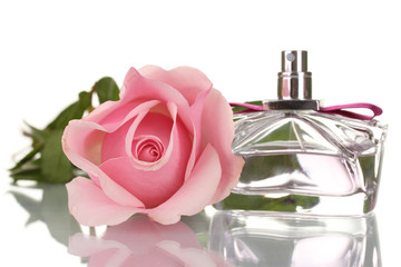 Perfume bottle and pink rose isolated on white