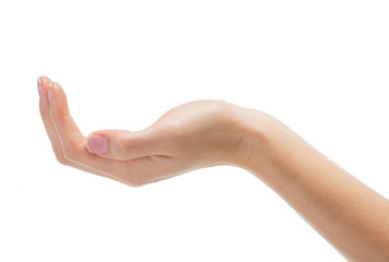 Fototapeta premium Female empty open hand isolated on white background