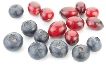 blueberry and cranberry