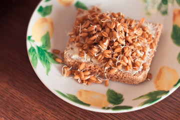 Healthy food, bread  with wheat sprouts