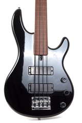 Fototapeta premium Bass guitar