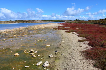 Rottnest island in Australia