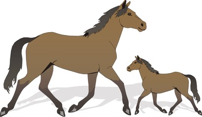 horse and baby