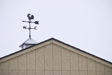 Obraz premium Rooster Weathervane