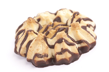 Chocolate cookies isolated