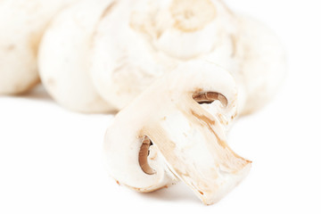 Champignon mushrooms extreme closeup