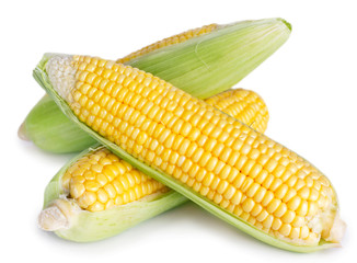 Fresh corn