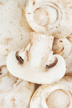 Champignon mushrooms extreme closeup