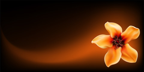 Realistic yellow tropical flower on dark background