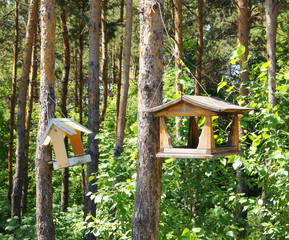 Feeding troughs for birds hang on trees