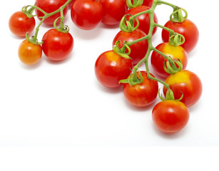 tomatoes