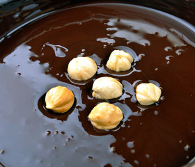 hazelnuts in a molten chocolate