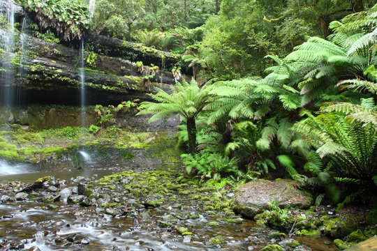 Gorgeous Russel Falls in Tasmania, Australia.