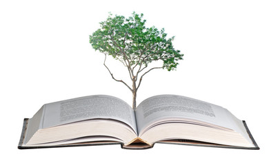 tree growing from book