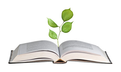 Sapling growing from book