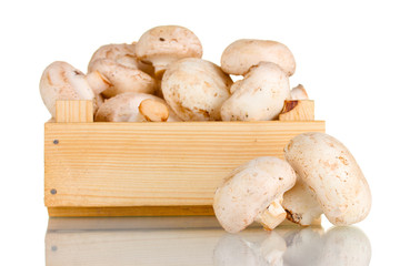 fresh mushrooms in a wooden box isolated on white