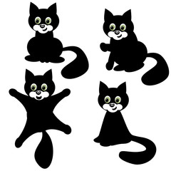 four cats on white background