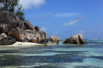 petite plage d'une île sauvage des seychelles