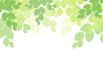 新緑のフレーム