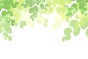 新緑のフレーム