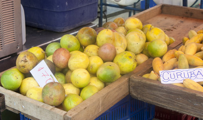 Tropical fruits on market in San Jose, Costa Rica