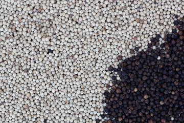 Black and white pepper