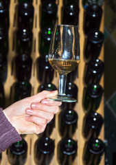 classic champagne testing