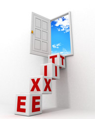 exit door to sky with text blocks ladder