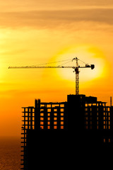 Construction cranes and building silhouettes with sunset