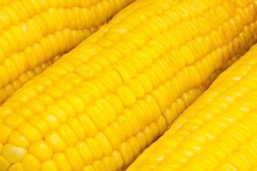Closeup corn boiled