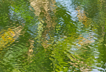 Water reflection of green forest