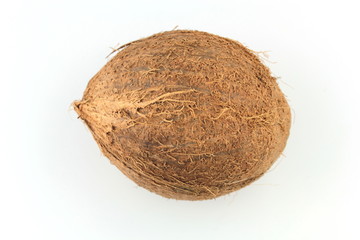 Coconut