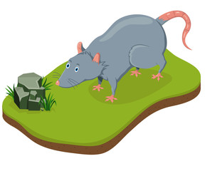 Isometric Cartoon Rat