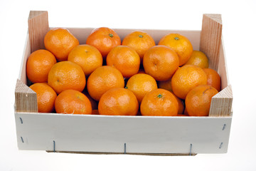 Fresh mandarin citrus fruits on a market