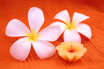 Fototapeta na wymiar Aroma candle with frangipani