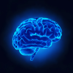 Human brain in x-ray view - obrazy, fototapety, plakaty