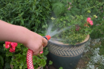 Child irrigating flowers with a garden hose