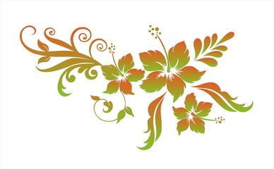 Hibiskus Blumenornament © punto1976